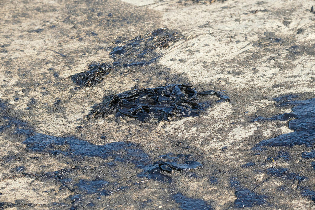 Oil washed up Sunday on Huntington Beach, Calif. A major oil spill off the coast of Southern California fouled popular beaches and killed wildlife while crews scrambled Sunday to contain the crude before it spread further into protected wetlands. (AP Photo/Ringo H.W. Chiu)

