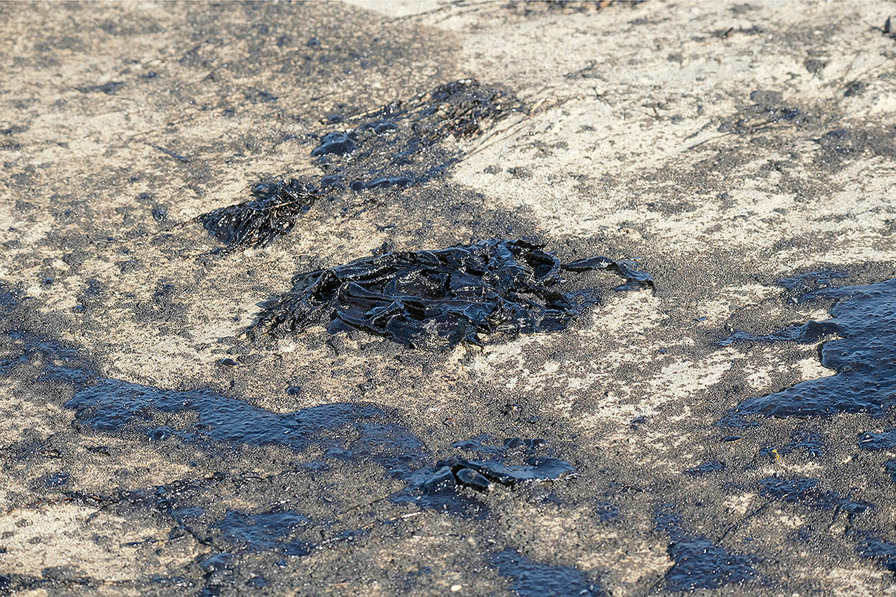 Oil washed up on Huntington Beach, Calif., on Sunday, Oct. 3, 2021. A major oil spill off the coast of Southern California fouled popular beaches and killed wildlife while crews scrambled Sunday to contain the crude before it spread further into protected wetlands. (AP Photo/Ringo H.W. Chiu)