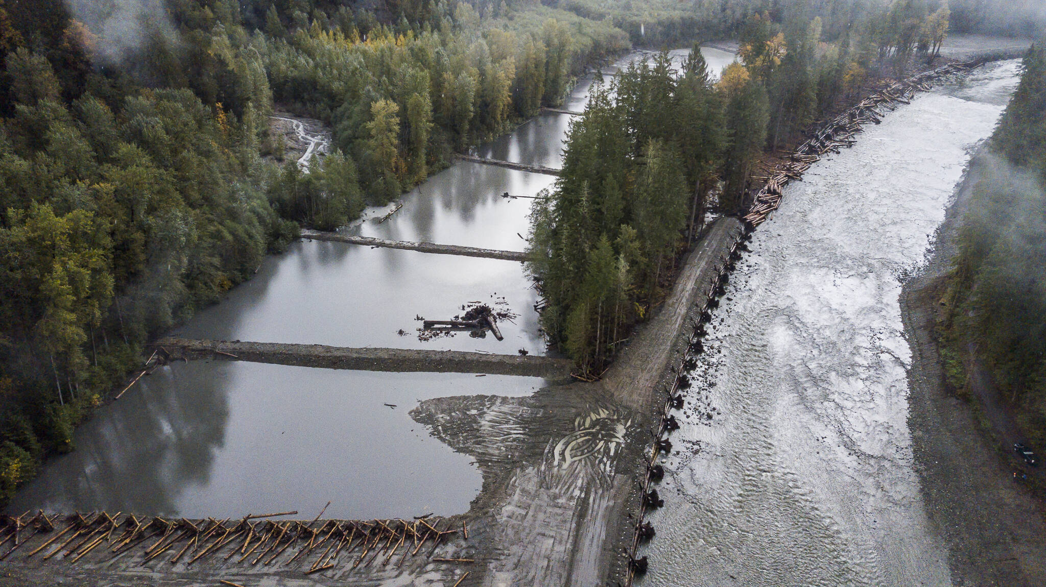The South Fork Stillaguamish River runs through a new location past a man-made meander jam, large woody material jam and a live crib wall to help guide its new course on Wednesday in Verlot. (Olivia Vanni / The Herald)