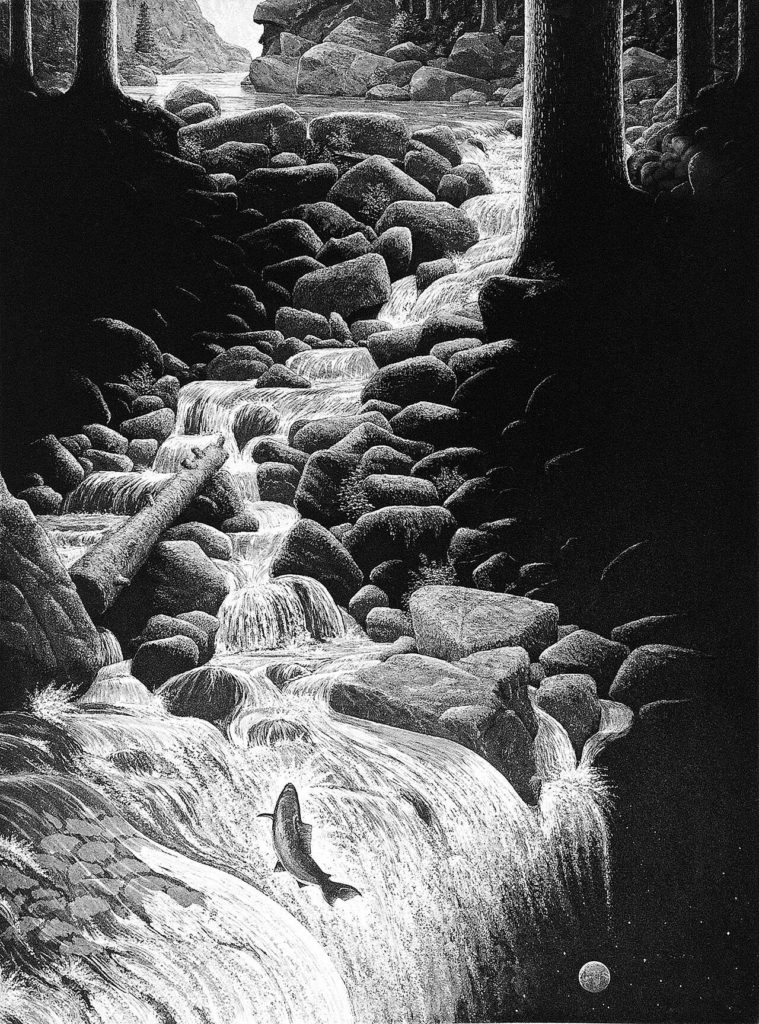 “Journey,” an aquatint etching by Rob Schouten, shows a salmon migrating back to the stream it was born.

