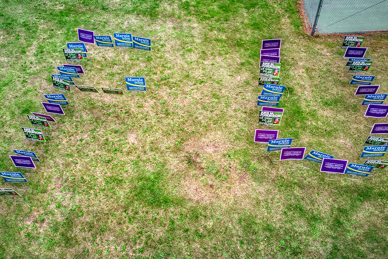 Signs supporting incumbent candidates for the South Whidbey school board were stolen and arranged in a vulgar message on school grounds Sunday. (Contributed photo)