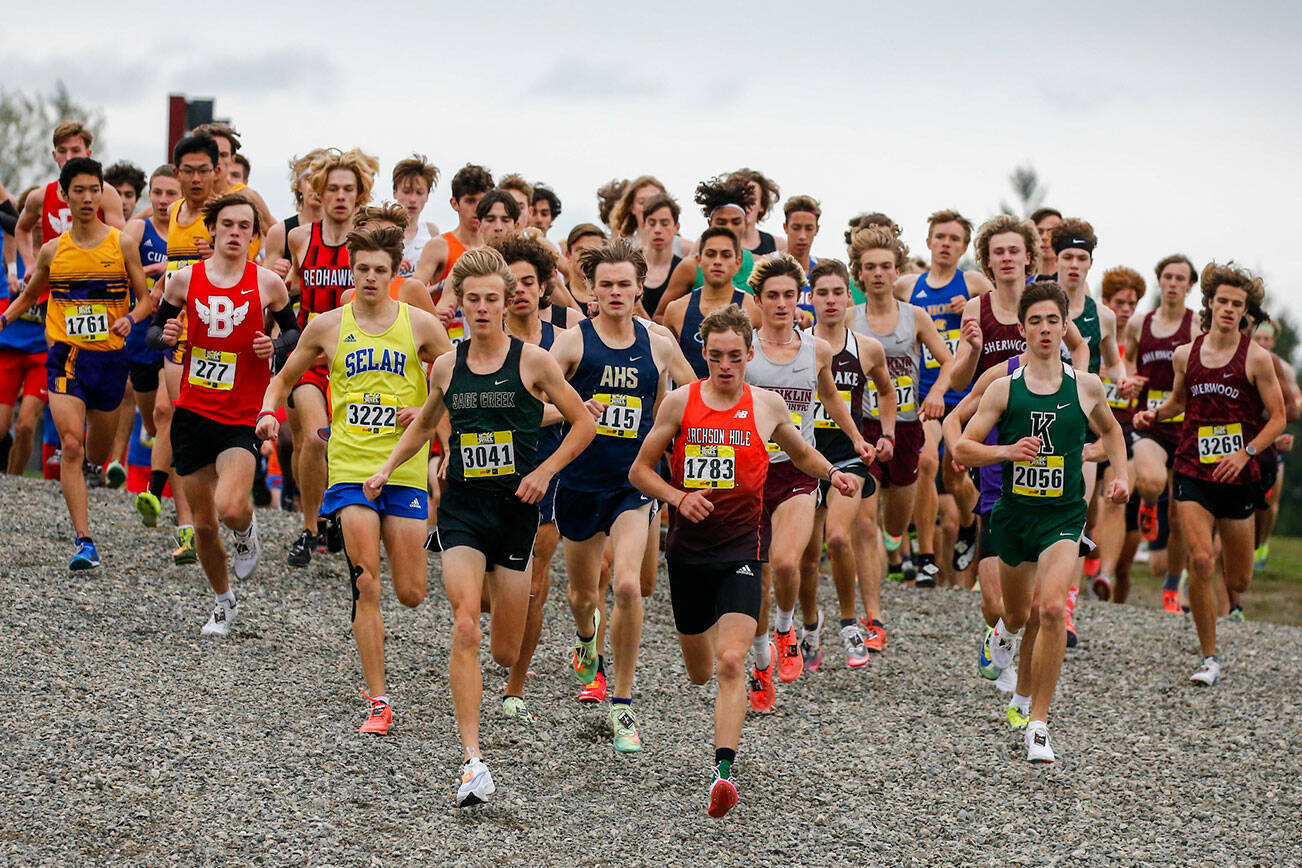 The boys elite division is off the races Saturday afternoon during the annual Hole in the Wall cross country meet at Lakewood High School in Arlington on October 9, 2021. (Kevin Clark / The Herald)