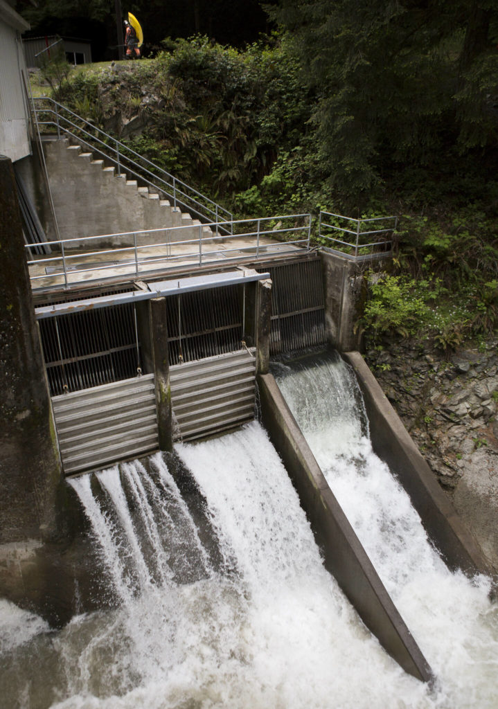 A kayaker walks around the diversion dam on the Sultan River to continue downstream. (Olivia Vanni / The Herald)
