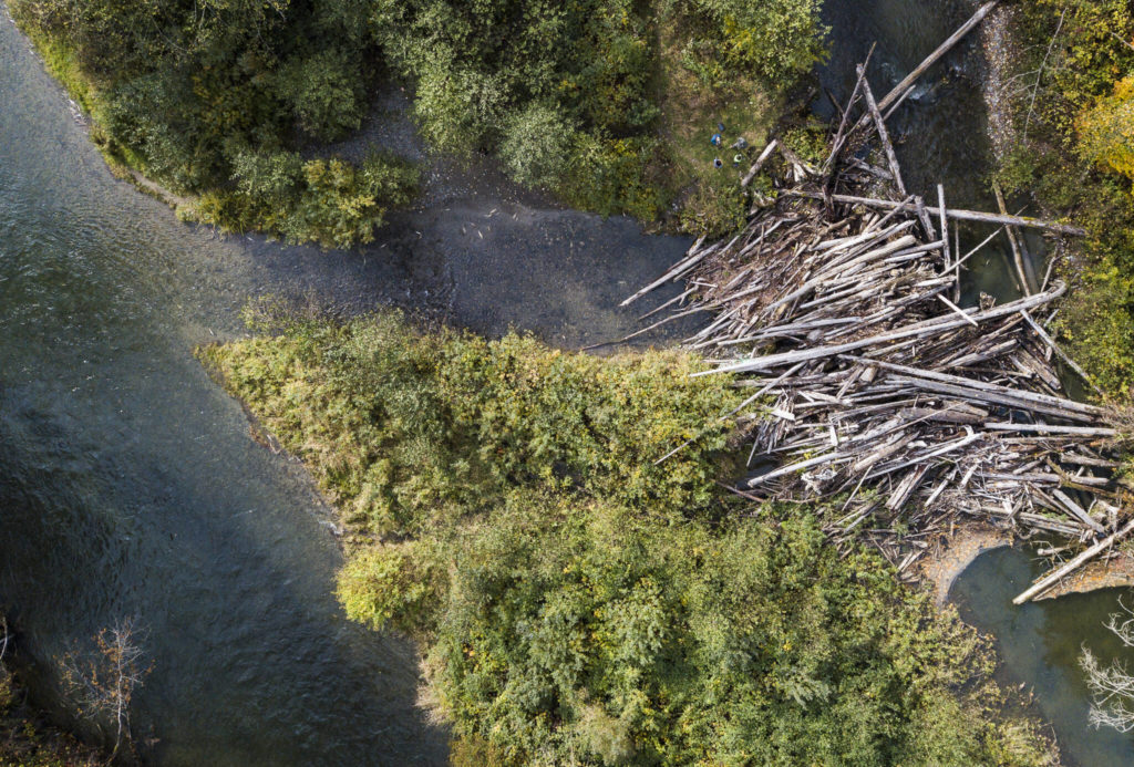 An overhead view of the main channel of the Sultan River (left) and an engineered logjam and side steam. (Olivia Vanni / The Herald) 
