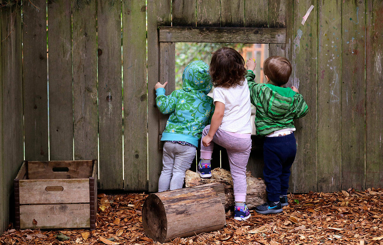 Children peer out a screened window in the fence at the Wallingford Child Care Center in Seattle, in August, 2018. (Elaine Thompson / Associated Press file photo)