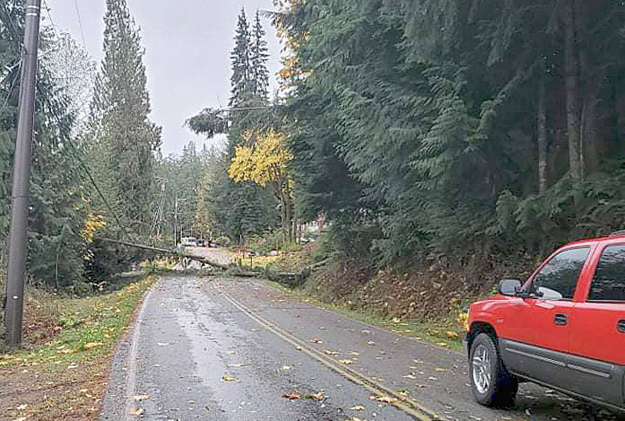 A tree fell across power lines during a storm Sunday afternoon in the Lake Roesiger area northeast of Snohomish. (Lake Roesiger Fire)