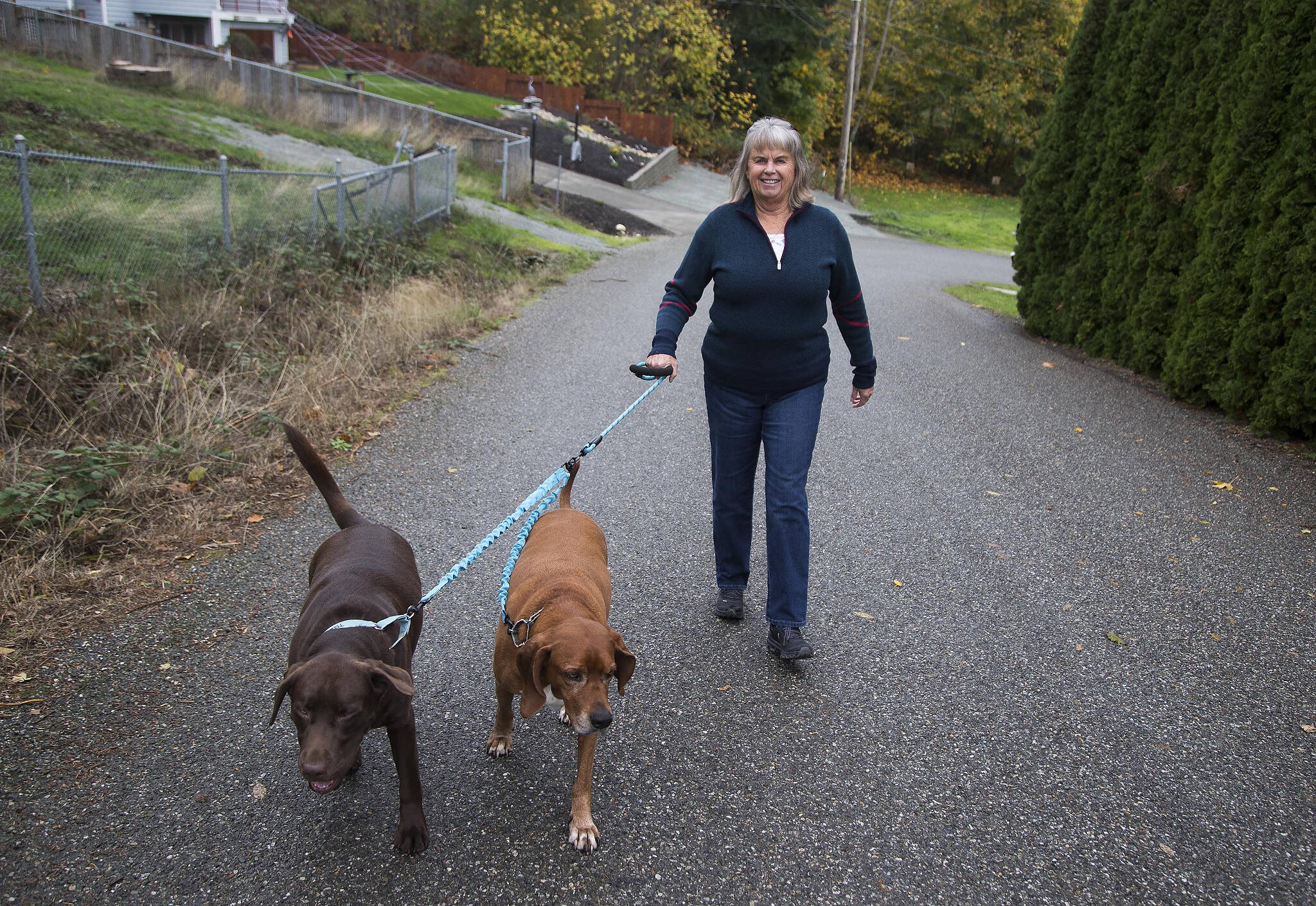 Patt Bass walks her dogs Dodger and Tucker near her home Wednesday on Camano Island. (Andy Bronson / The Herald)