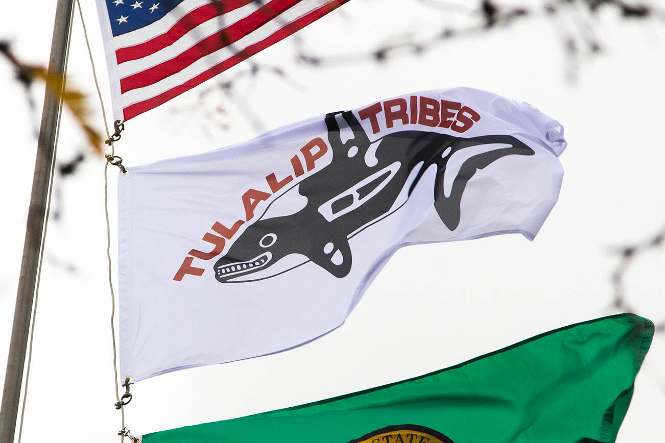 Tony Hatch (right) raises the Tulalip Tribes' flag during a ceremony held at Marysville School District Educational Service Center on Thursday, Nov. 4, 2021 in Marysville, Washington.The flag raising ceremony represents the school district's partnership with the Tulalip Tribes.  (Andy Bronson / The Herald)