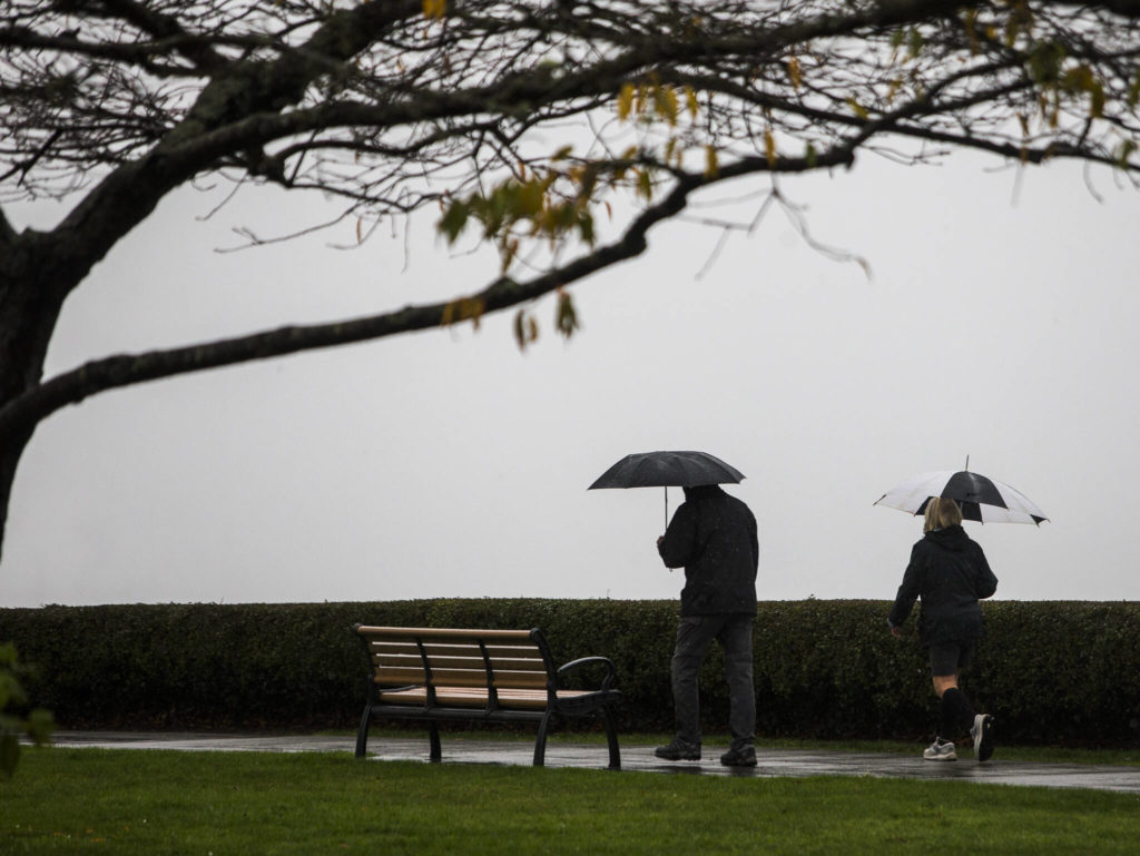 People walk through Grand Avenue Park in Everett during heavy rain Friday. (Olivia Vanni / The Herald) 
