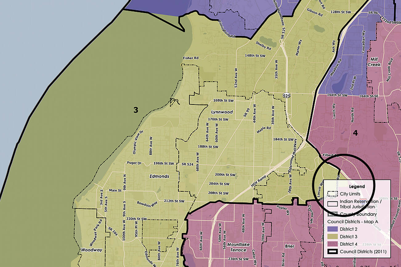 Two unincorporated areas of District 4 seen here in yellow and purple will be absorbed by districts 2 and 3, impacting just under 14,000 people.