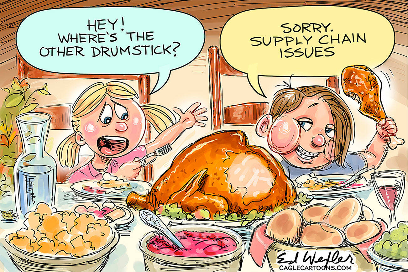 Editorial cartoons for Monday, Nov. 22 | HeraldNet.com
