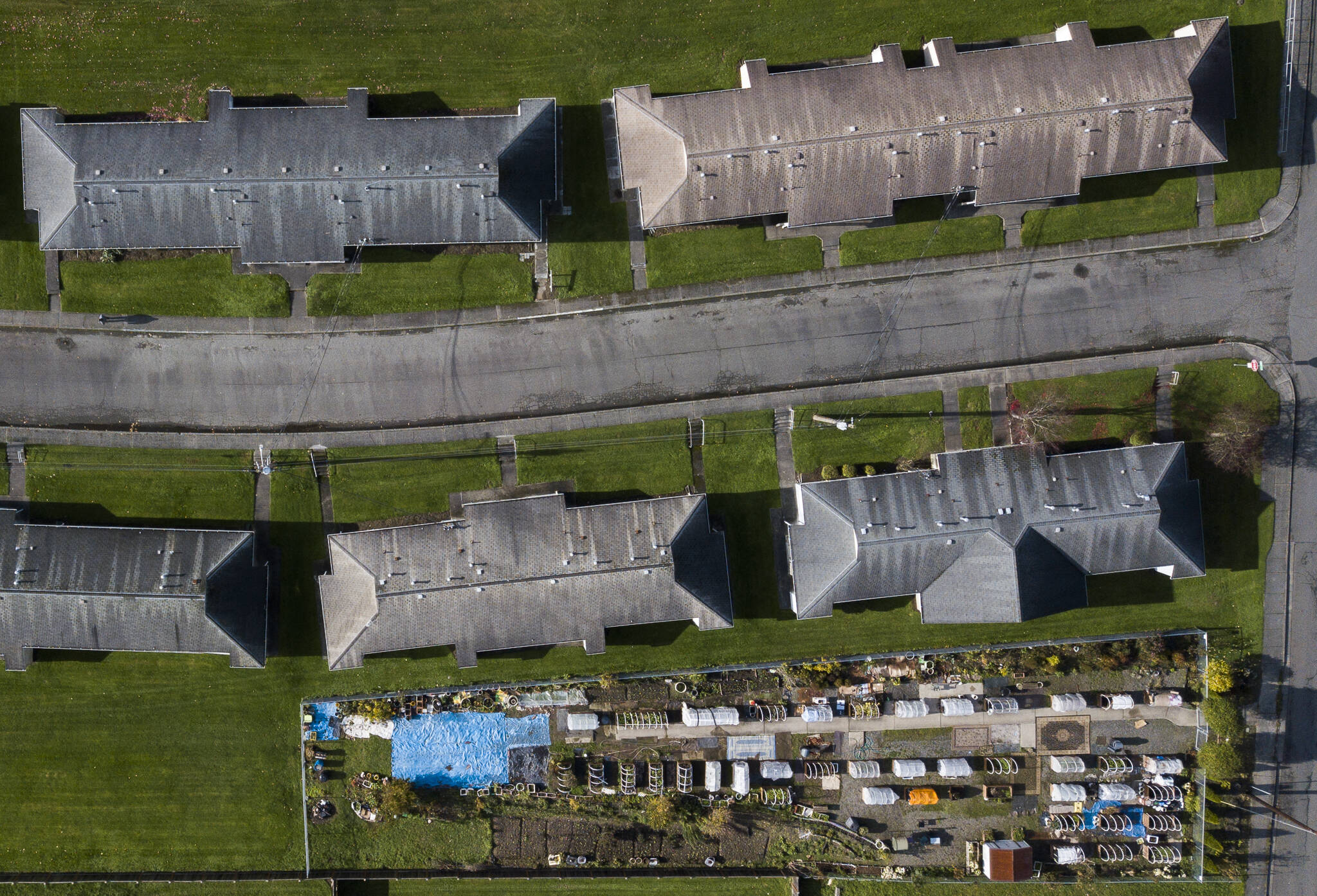 The Friendship Garden’s 40 garden boxes along 12th Street in Everett, shared by Baker Heights and Delta neighborhood residents, seen from overhead. (Olivia Vanni / The Herald)