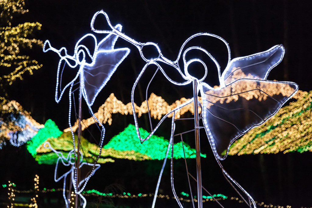 This year’s Lights of Christmas at Warm Beach includes more than 50 lighted displays, including these heralding angels. (The Lights of Christmas)
