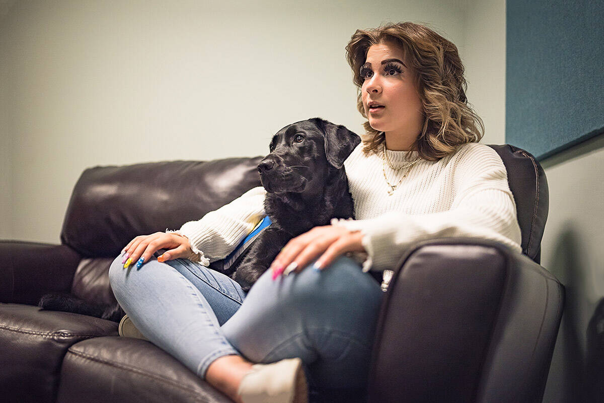 Facility dog, Sibella, in the Dawson Place Interview suite. Dawson Place is a non-profit organization providing safety, justice, and healing to victims of child physical abuse, sexual assault, neglect, drug endangerment, or a witness to a violent crime.