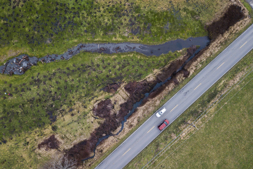 The old route of the Olaf Strad stream is visible along 67th Avenue in Arlington. (Olivia Vanni / The Herald) 
