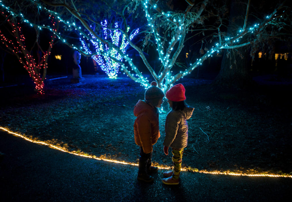 Tahzy Chaw (left), 3, and Belle Bresko, 4, have a staring contest while they walk through Wintertide Lights in the Evergreen Arboretum in Everett. (Olivia Vanni / The Herald) 

