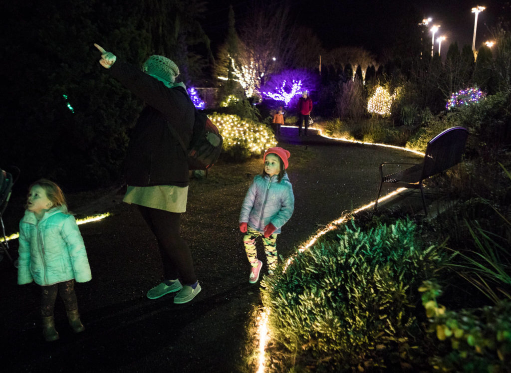 Belle Bresko, 4, navigates the path through Wintertide Lights. (Olivia Vanni / The Herald)
