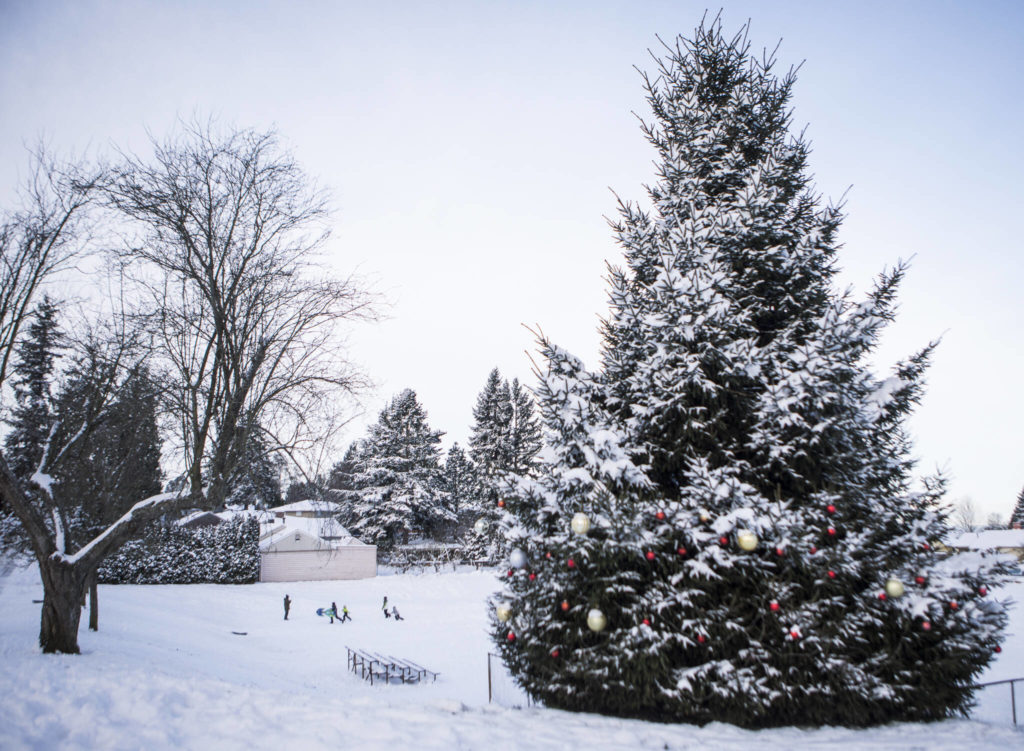 Children sled in the View Ridge neighborhood Monday in Everett. (Olivia Vanni / The Herald)
