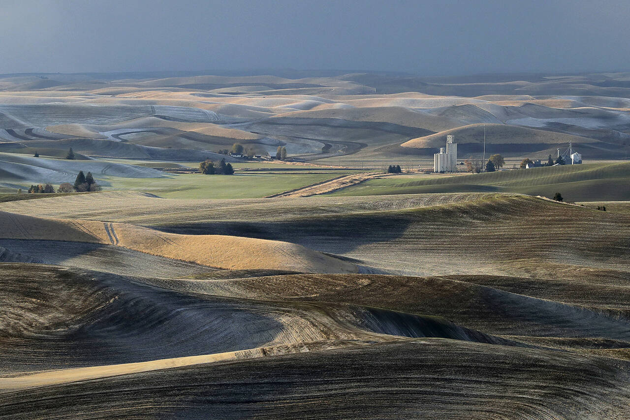 A grain elevator and the rolling hills of the Palouse farmland are shown from the top of Steptoe Butte near Colfax on Oct. 28, 2019. (AP Photo/Ted S. Warren, file)