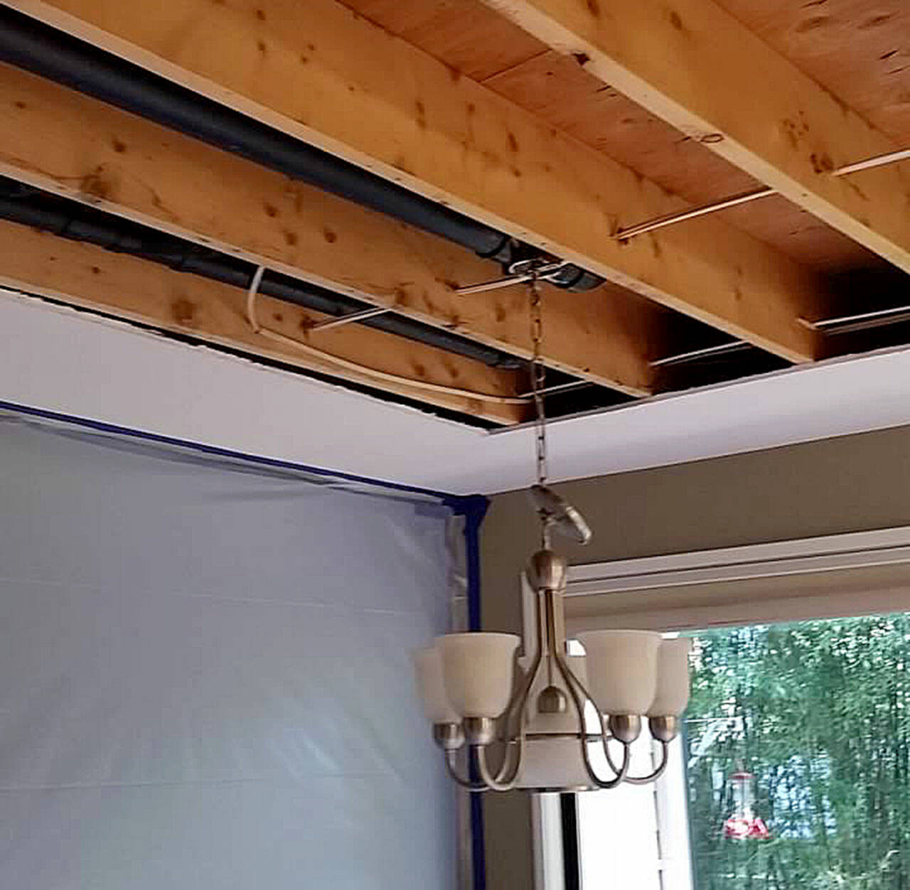 When a dinner guest accidentally clogged the upstairs toilet, “Level 3 contamination water” gushed from the light fixture above the dining table, causing $20,000 in damage. (Jennifer Bardsley)