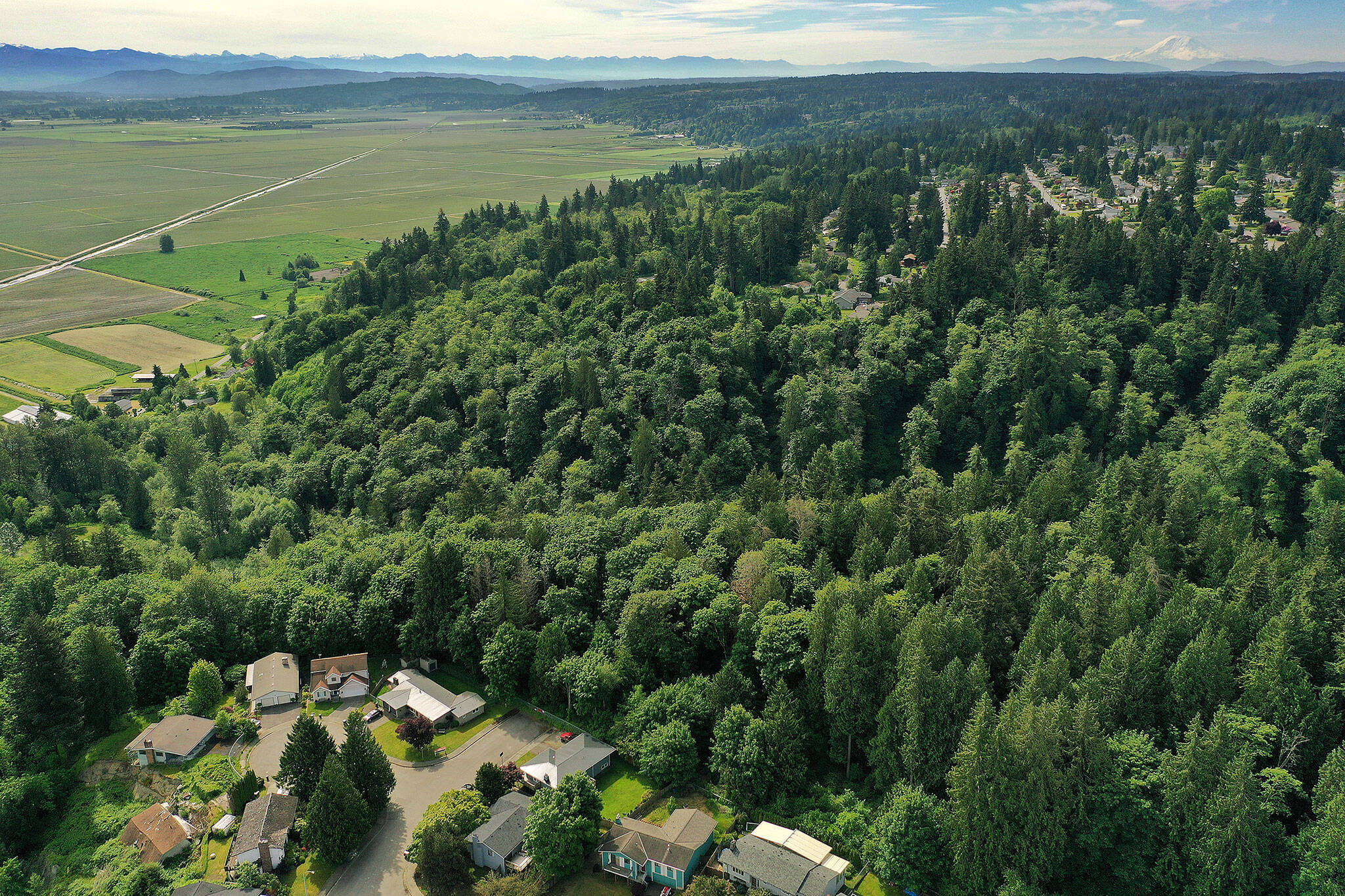 The forested Wood Creek drainage and Burl Place of the Valley View neighborhood (lower left), where several homes have slid or slumped down an unstable slope. (Chuck Taylor / Herald file)