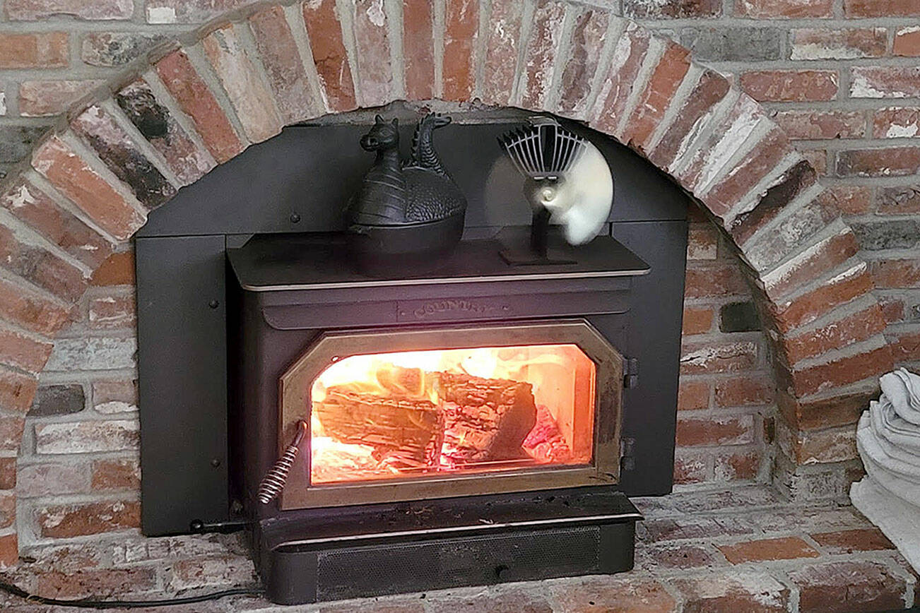 Caption: When the furnace broke in freezing weather, they were glad to have a wood burning stove and a newspaper subscription. (Jennifer Bardsley)