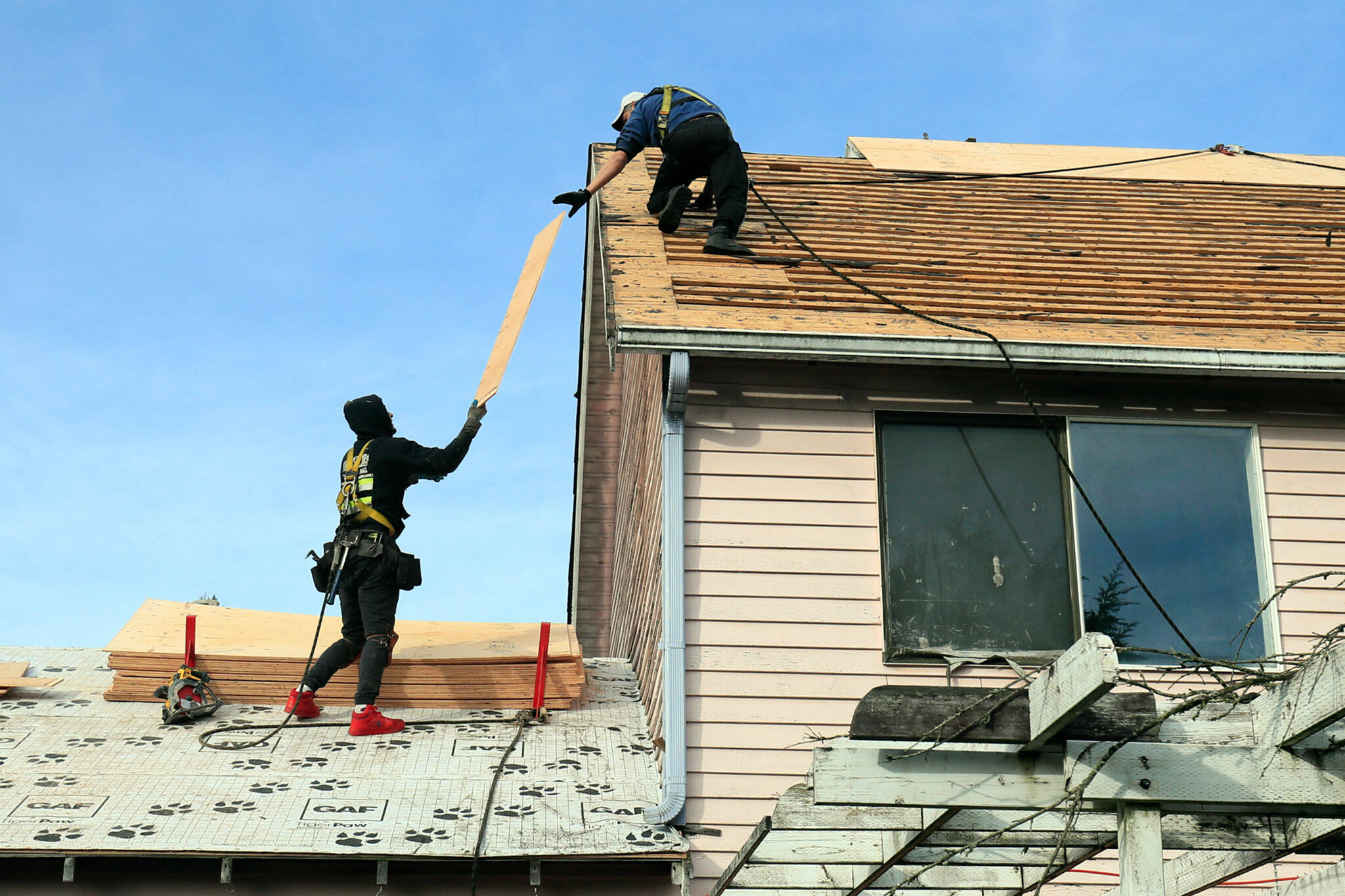 Crew members work to sheath a roof as part of the Home Repair Service Program Friday morning in Brier. (Kevin Clark / The Herald)