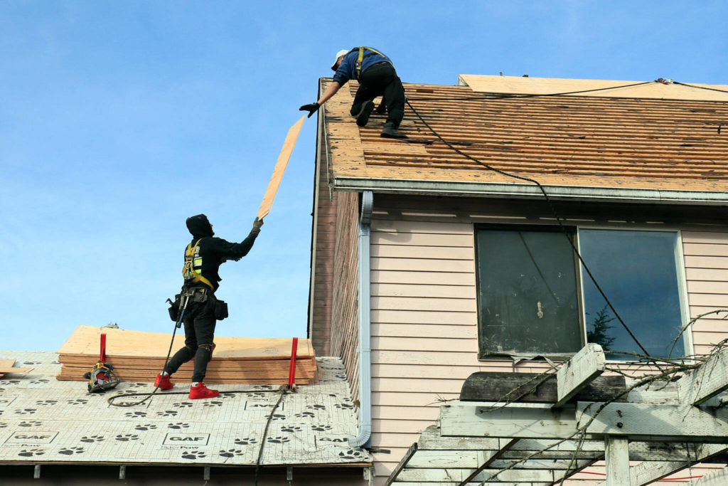 Crew members work to sheath a roof as part of the Home Repair Service Program Friday morning in Brier. (Kevin Clark / The Herald) 

