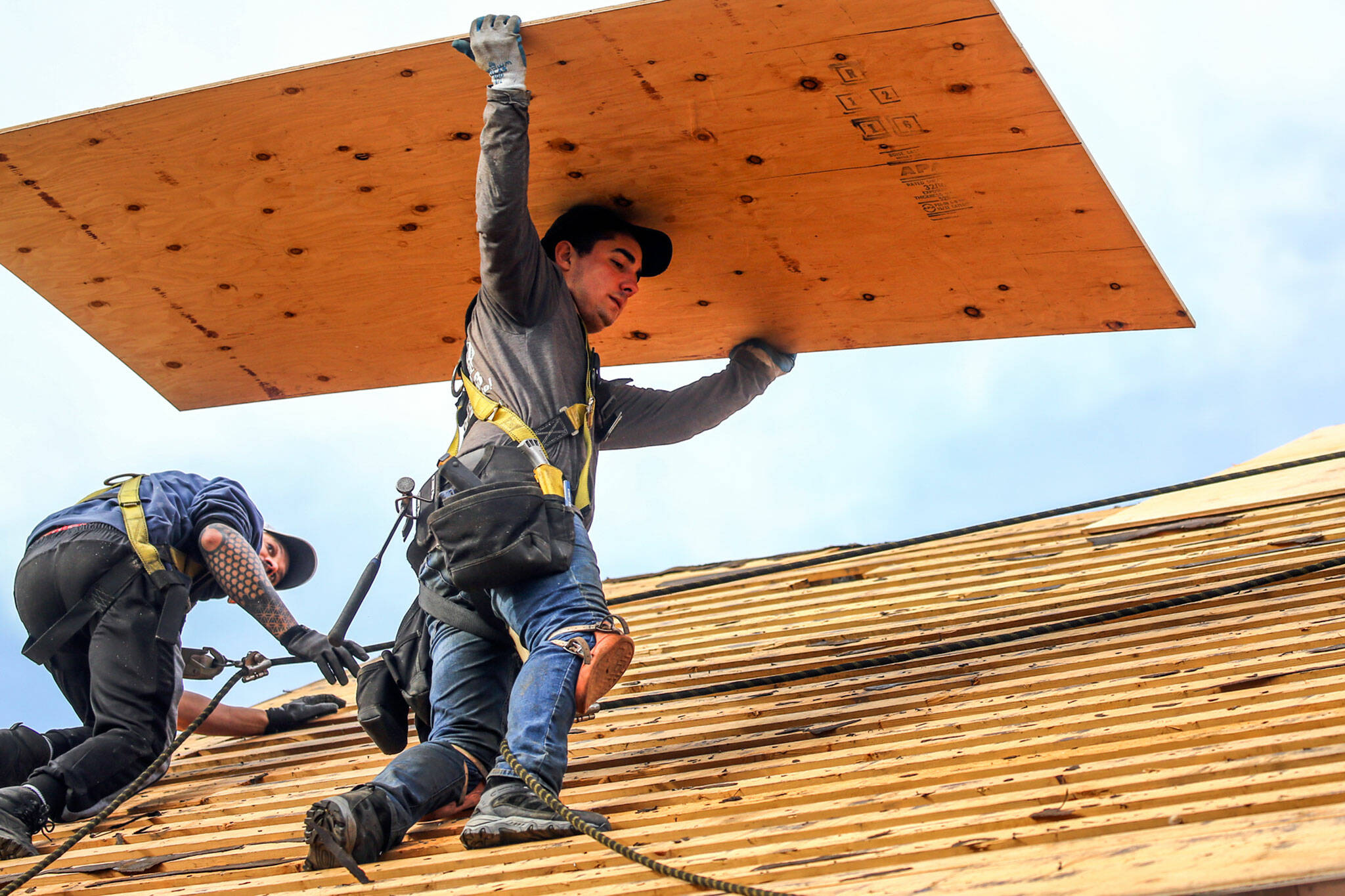 A crew member carries plywood to sheath a roof as of the Home Repair Service Program Friday morning in Brier. (Kevin Clark / The Herald)