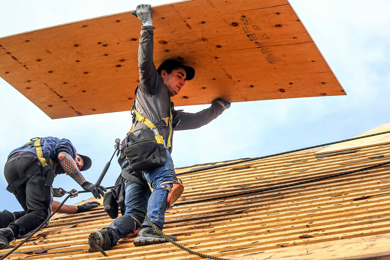 A crew member carries plywood to steathe a roof as of the Home Repair Service Program Friday morning in Brier, Washington on January 14, 2022. (Kevin Clark / The Herald)