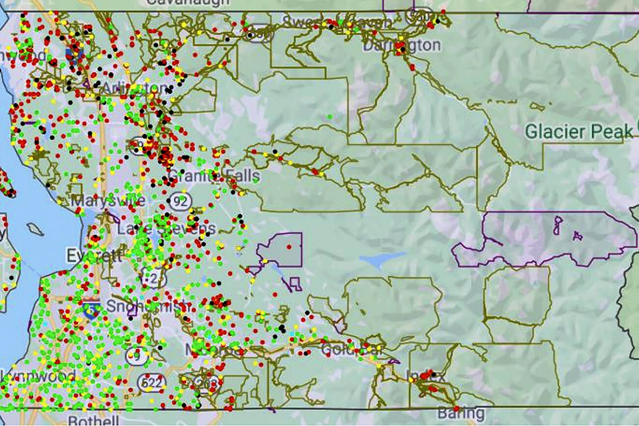 2021 survey results from the State Broadband Survey for Snohomish County. (Washington State Department of Commerce)