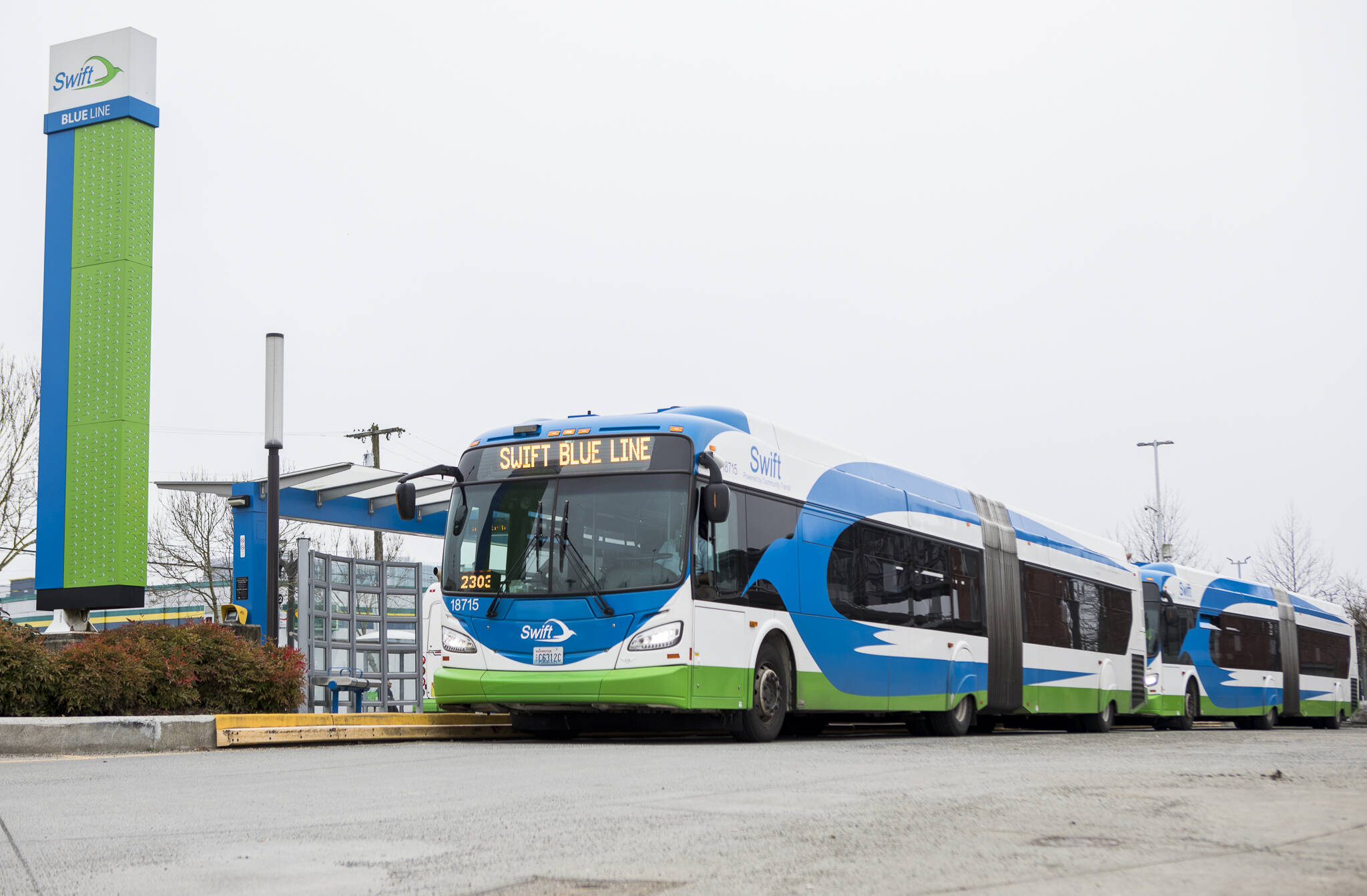 A Swift Blue Line bus idles Wednesday at the G Bay at Everett Station. (Olivia Vanni / The Herald)