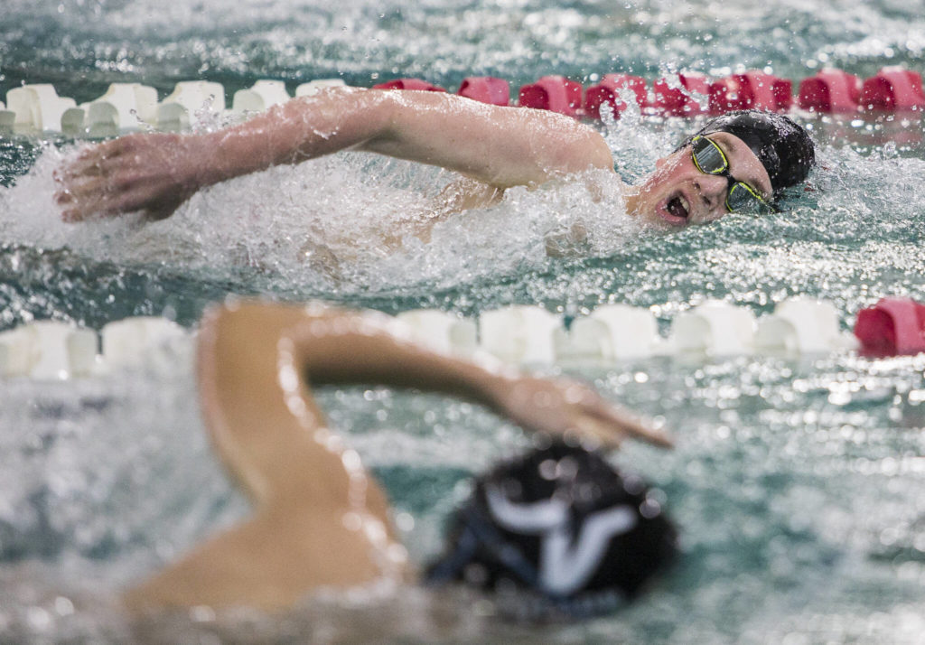 Snohomish’s Connor Colloton races in the 500-yard freestyle during a swim meet against Lake Stevens and Glacier Peak on Thursday in Snohomish. (Olivia Vanni / The Herald)
