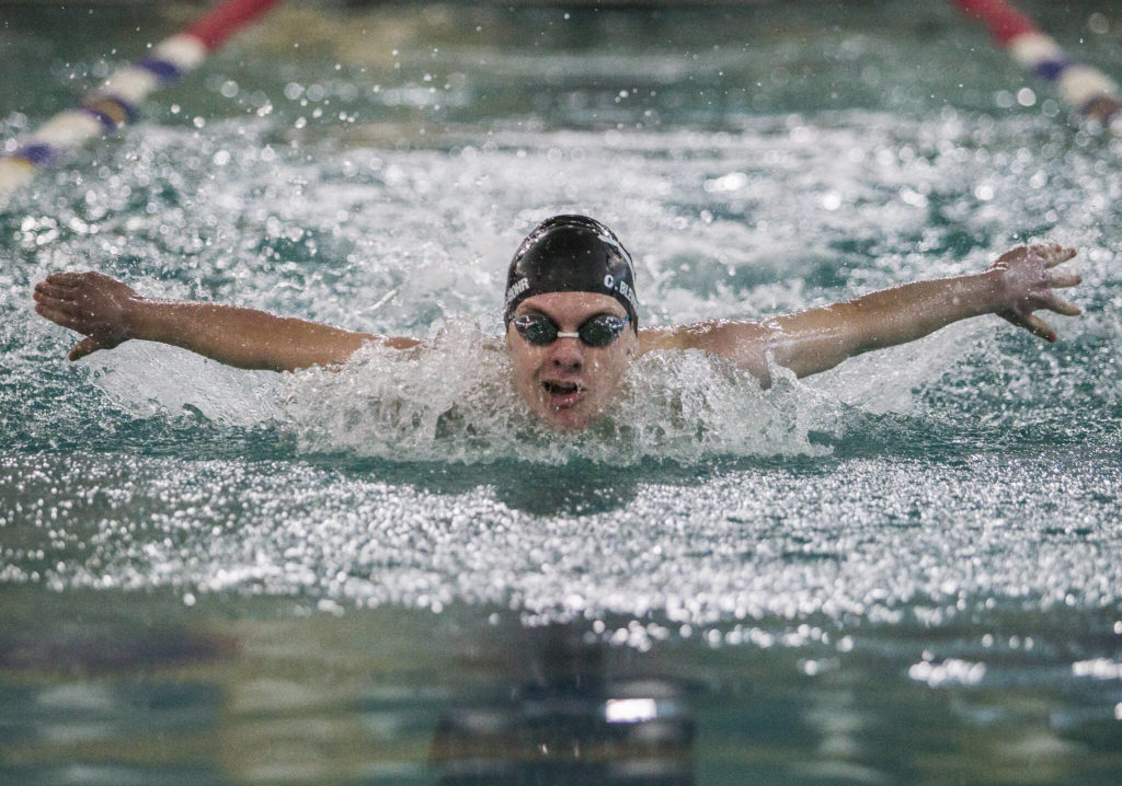 Lake Stevens’ Camden Belvins-Mohr competes in the 100-yrd butterfly during a swim meet against Glacier Peak and Snohomish on Thursday in Snohomish. (Olivia Vanni / The Herald)
