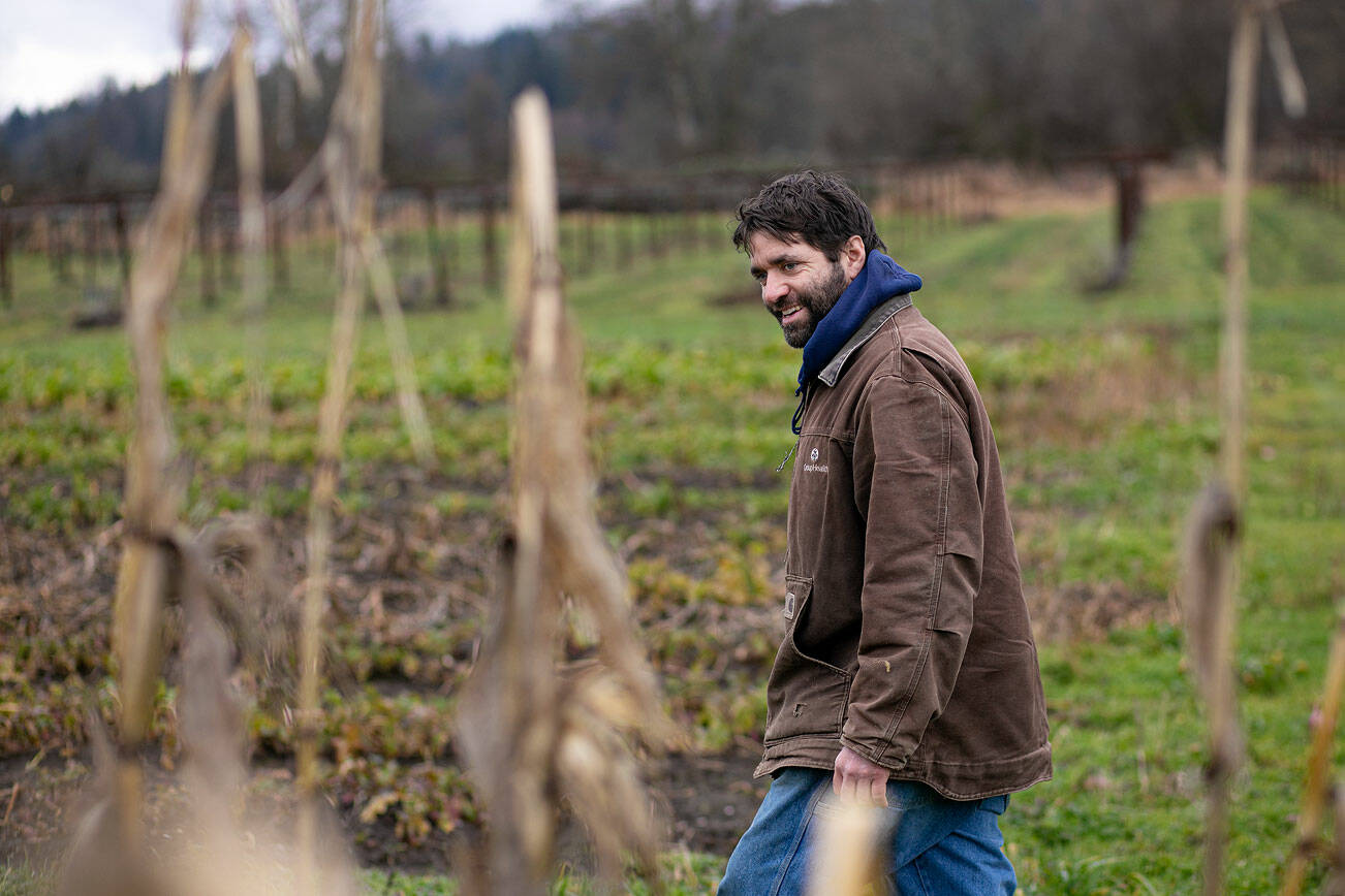 Vince Caruso walks past a small corn field Monday, Feb. 7, 2022, at his farm in Snohomish, Washington. (Ryan Berry / The Herald)