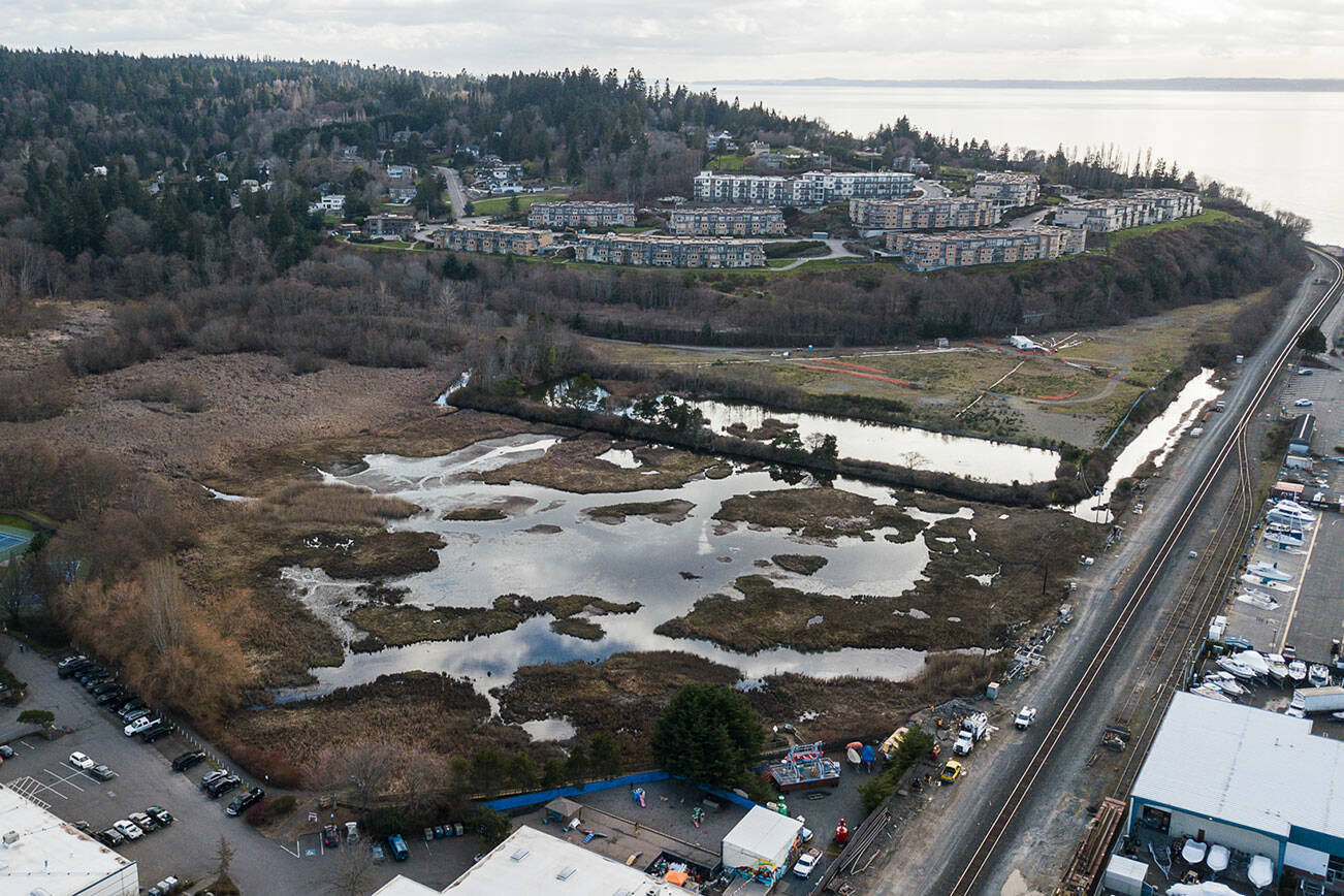 The Edmonds Marsh on Wednesday, Feb. 16, 2022. (Olivia Vanni / The Herald)