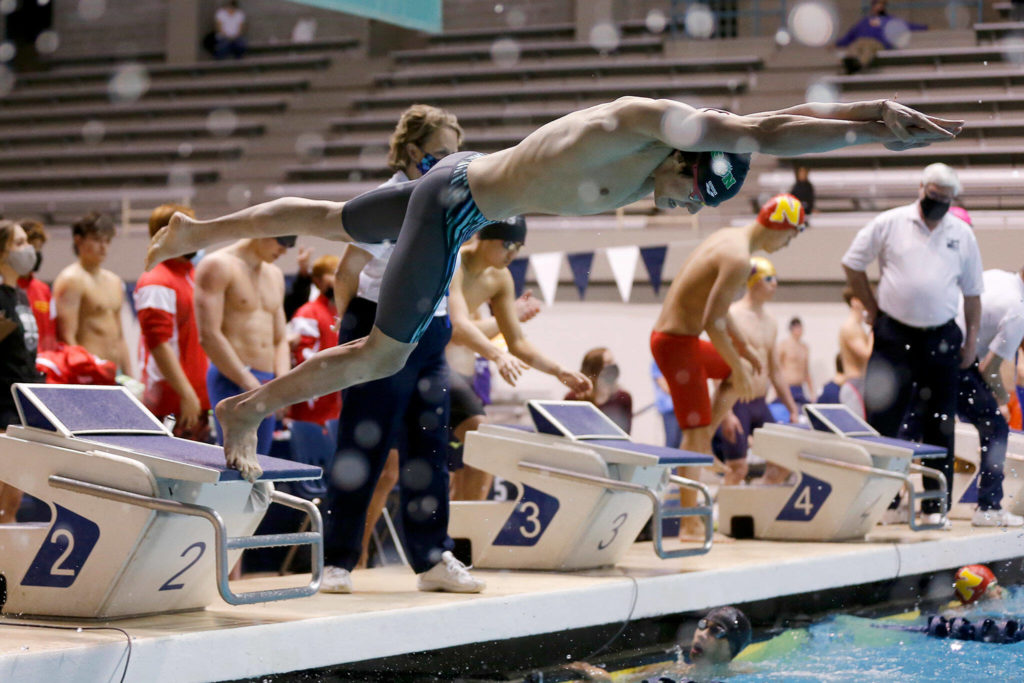 Alex Georgiev, of Jackson, dives in during the 200 yard medley relay during the WIAA 4A Boys Swimming Championship on Saturday at the King County Aquatic Center in Federal Way. (Ryan Berry / The Herald)