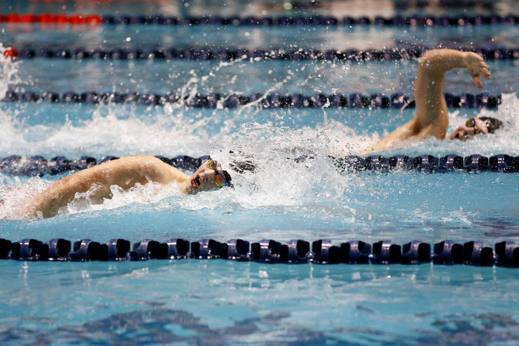 Jackson’s Jensen Elsemore competes in the 200 yard freestyle during the WIAA 4A Boys Swimming Championship on Saturday at the King County Aquatic Center in Federal Way. (Ryan Berry / The Herald)
