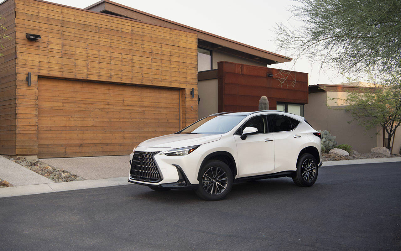 Lexus goes all out on the allnew 2022 NX luxury compact SUV