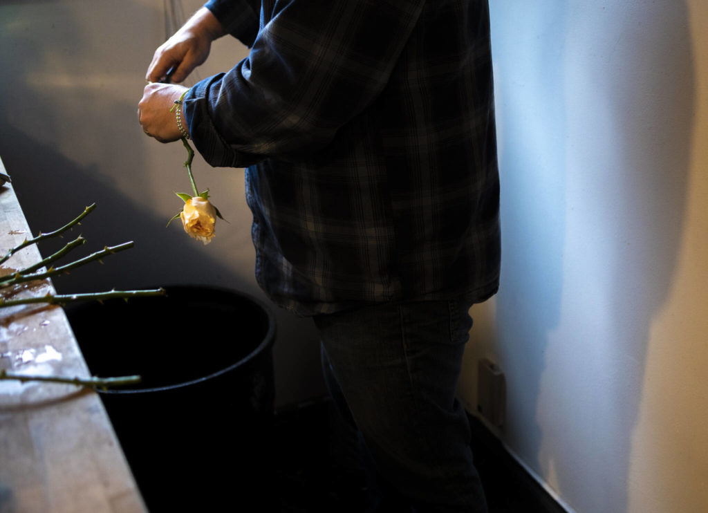 K.C. Morgan trims the excess length off a rose while processing flowers at FIELD in Edmonds. (Olivia Vanni / The Herald)
