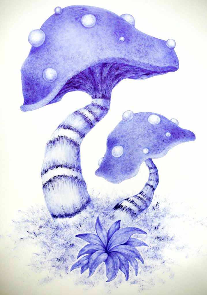 A pen drawing by Gabriel Herrera. (Ryan Berry / The Herald)
