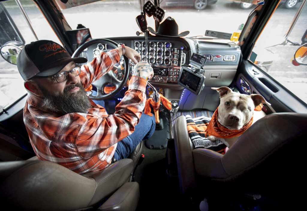 Shawn “Stogie” Dirksen and his one-eyed pitbull Bonnie inside his truck “The Orange Crush” at his home in Lake Stevens. (Olivia Vanni / The Herald)
