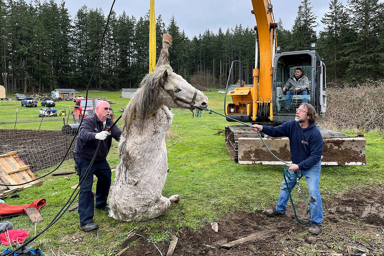 Responders hoist Blaze out of the well with an excavator. (Photo provided)