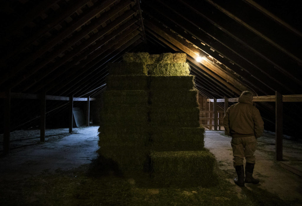 John Connolly walks through his hay loft at On The Lamb farm Tuesday in Arlington. (Olivia Vanni / The Herald)

