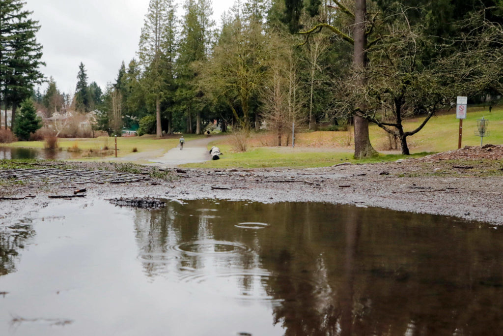 Standing water is seen on a dirt path at Thornton A. Sullivan Park on Silver Lake on Monday afternoon in Everett. (Kevin Clark / The Herald)
