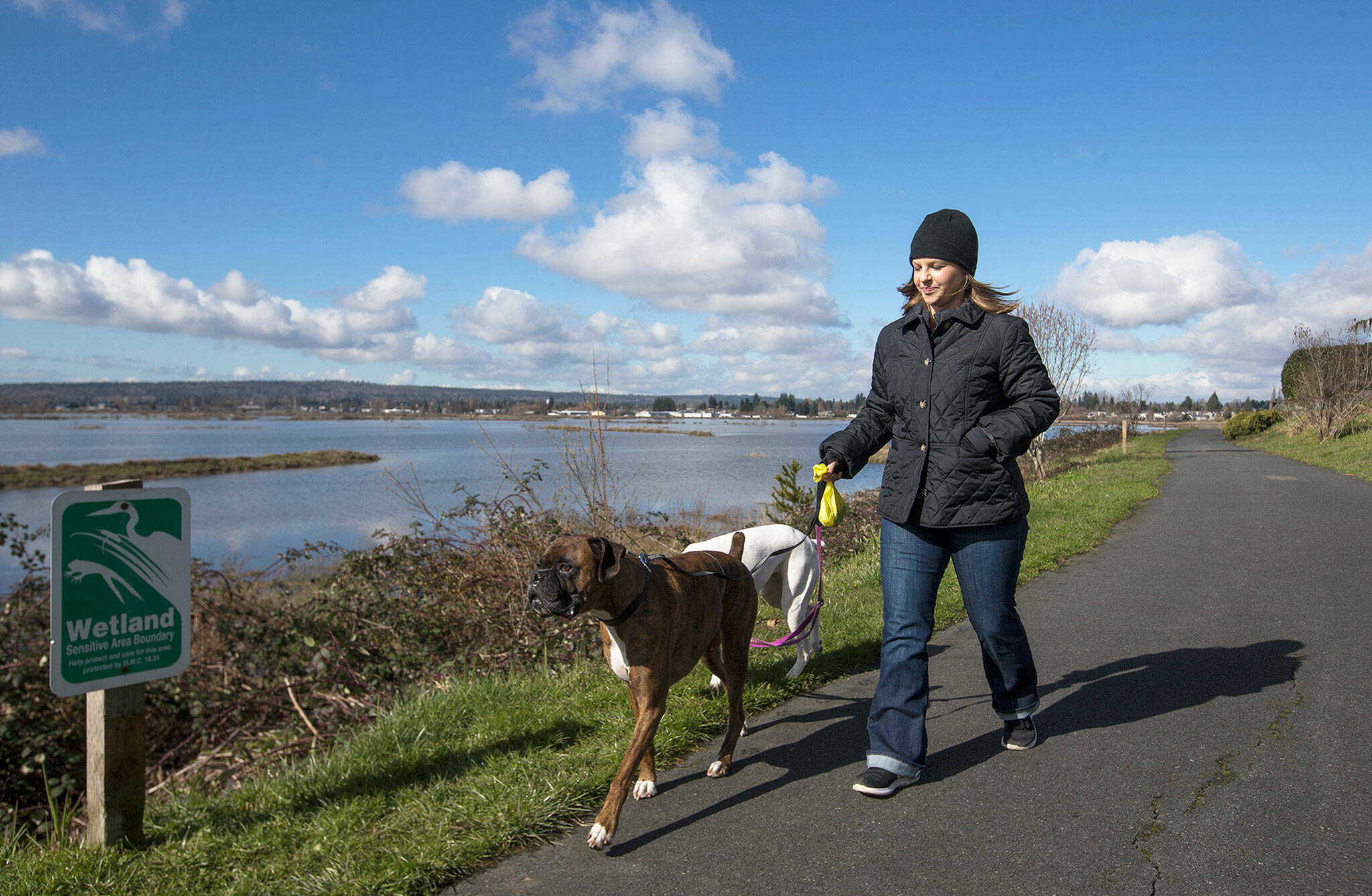 Ashley Ferris walks her dogs on Marysville’s Ebey Waterfront Trail in February 2018. (Andy Bronson / Herald file)