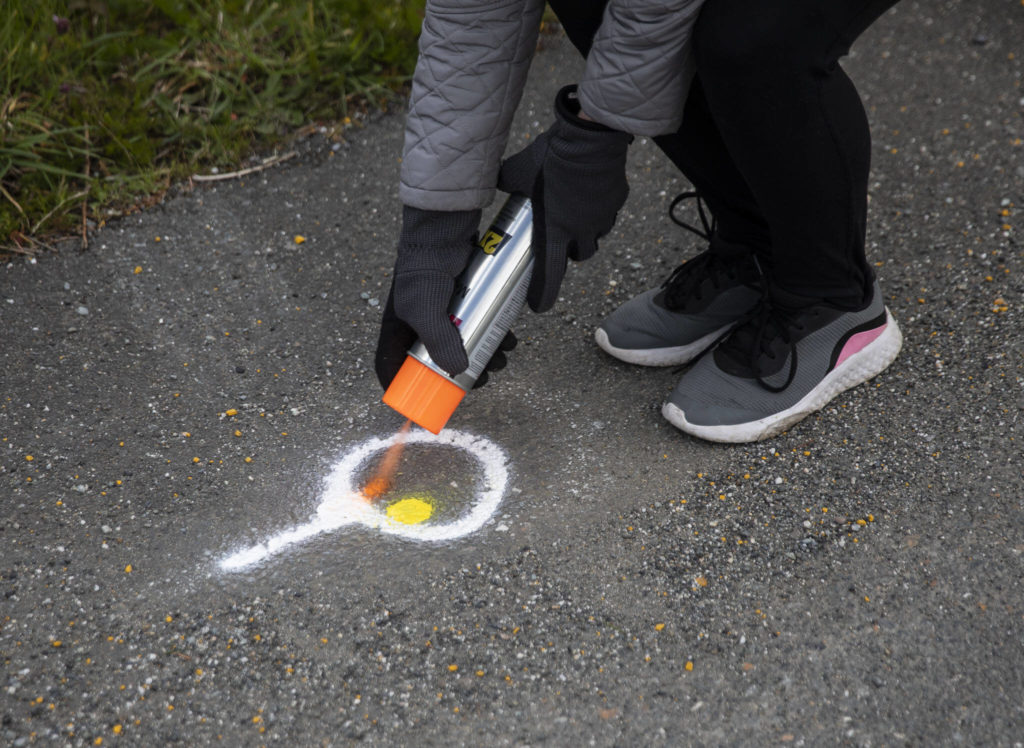Frances Philbin spray paints an orange dot inside a Dan Henry directional mark along Juniper Beach Road on Sunday, April 10, 2022 in Camano Island, Washington. (Olivia Vanni / The Herald)
