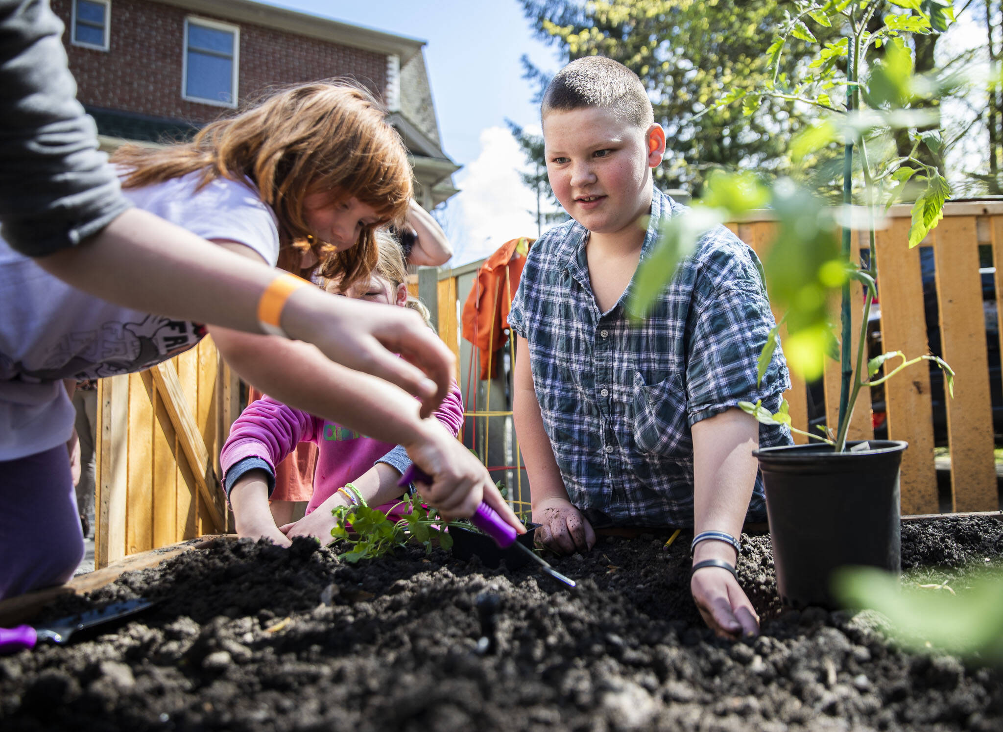 JR Stalkfleet (left) digs a hole for a tomato plant in the new outdoor classroom at Tomorrow’s Hope Child Development Center on April 22 in Everett. (Olivia Vanni / The Herald)