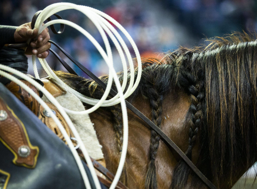 Back up to the bull riders wait along the perimeter of the ring during the PBR Everett Invitational at Angel of the Winds Arena on Wednesday, April 6, 2022 in Everett, Washington. (Olivia Vanni / The Herald)
