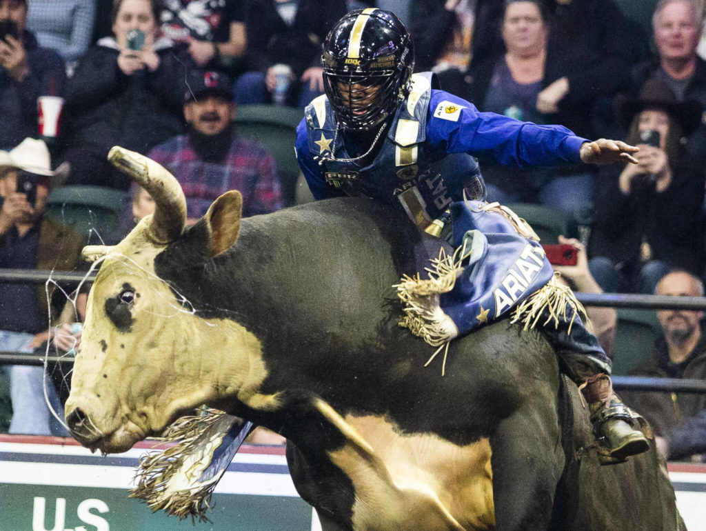 Ezekiel Mitchell leans forward while his bull leaps in the air during the PBR Everett Invitational at Angel of the Winds Arena on Wednesday, April 6, 2022 in Everett, Washington. (Olivia Vanni / The Herald)
